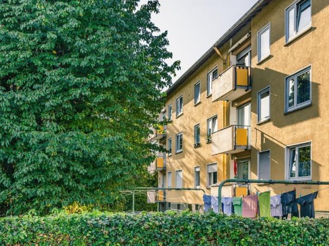 Apartment mieten in Grünstadt, Rheinland-Pfalz