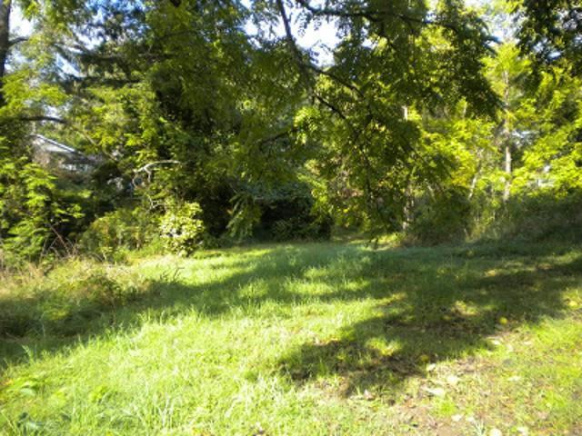 Land for sale in Asheville, Buncombe County