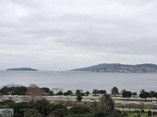 Kartal, İstanbul içerisinde kiralık mülk
