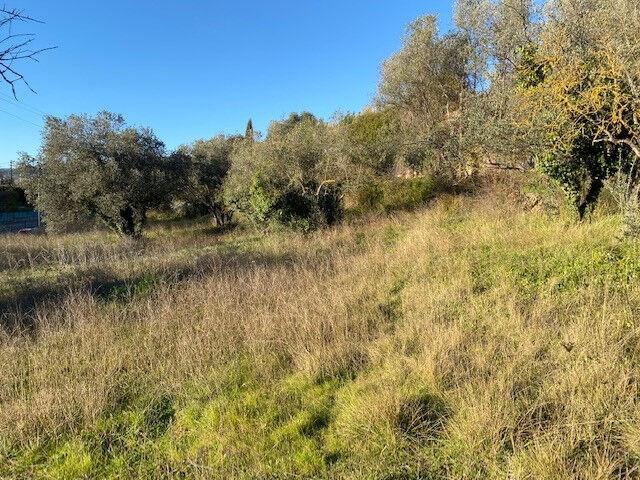 Terrain vente à Arrondissement de Draguignan, Draguignan