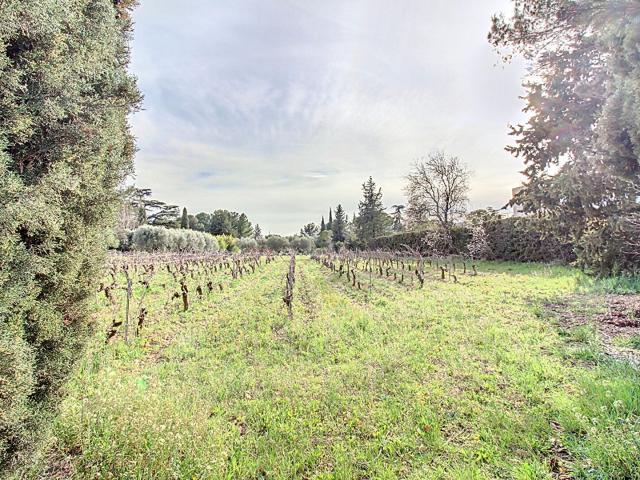 Terrain vente à Arrondissement de Draguignan, Draguignan