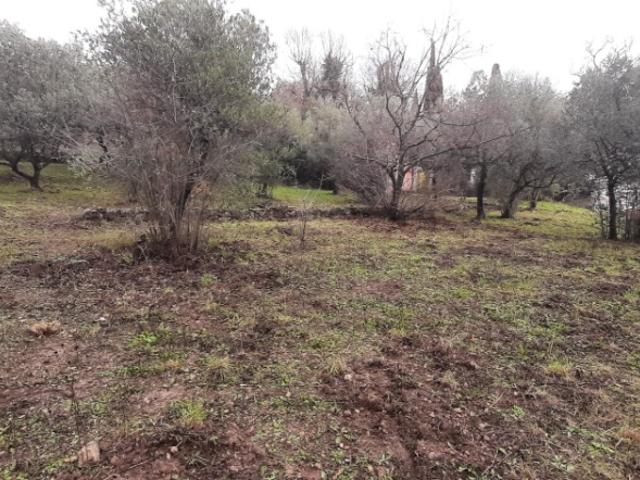 Terrain vente à Arrondissement de Draguignan, Draguignan
