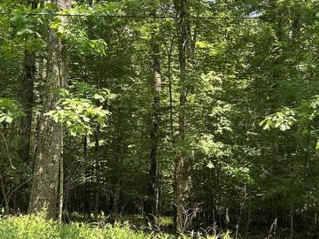 Land for sale in Crawford, Pennsylvania