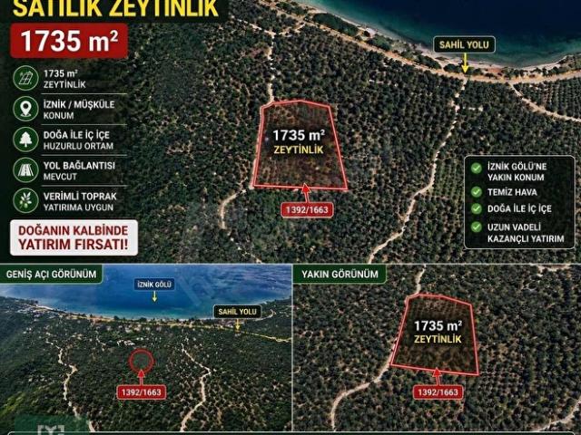 İznik, Bursa içerisinde satılık mülk
