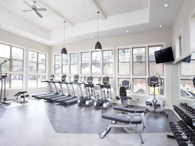 Apartment for rent in Asheville, North Carolina