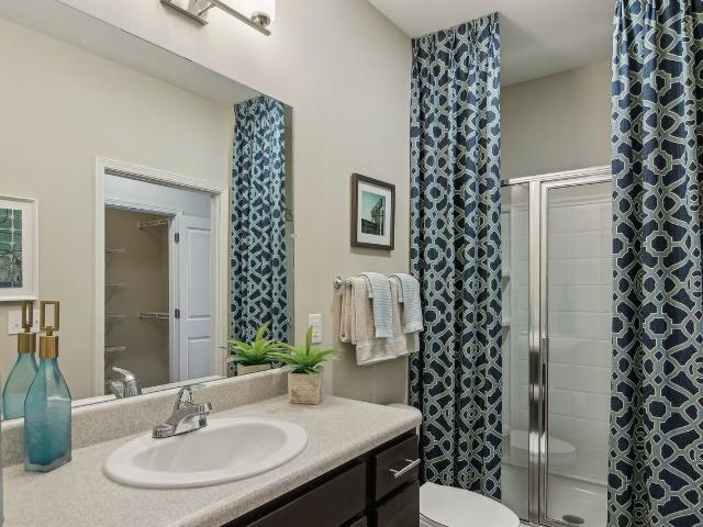 Apartment for rent in Asheville, North Carolina