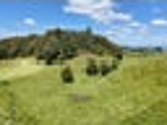 Land for sale in Bay Of Plenty