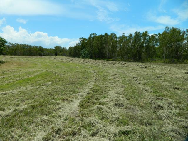 Property for sale in Bucasia, Queensland