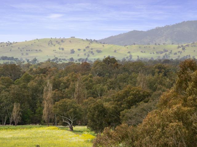 House for sale in Albury, New South Wales