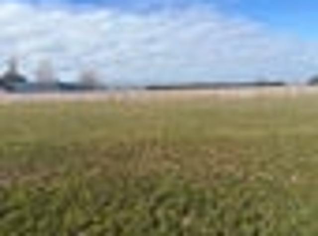 Land for sale in Hakatere, Canterbury