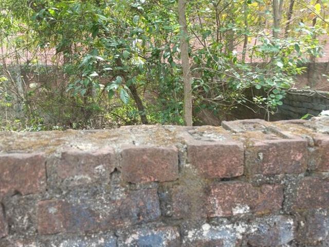 Land for sale in Varanasi, Arunachal Pradesh