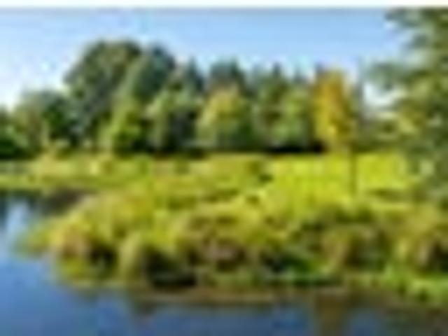 Land for sale in Kawau Island