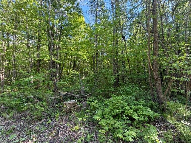 Land for sale in Wisconsin