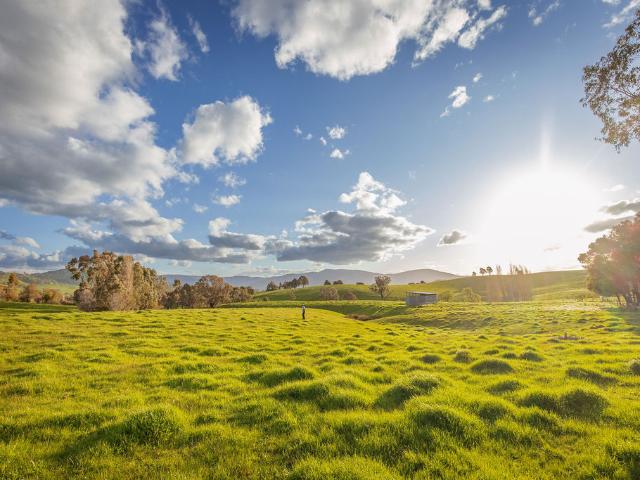 Cottage for sale in Huon, Victoria