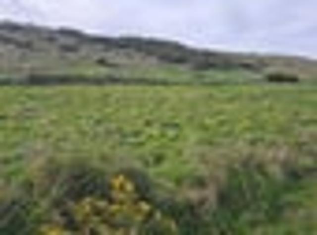 Land for sale in Manawatu District
