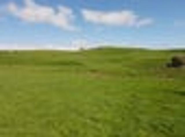 Land for sale in Waikato