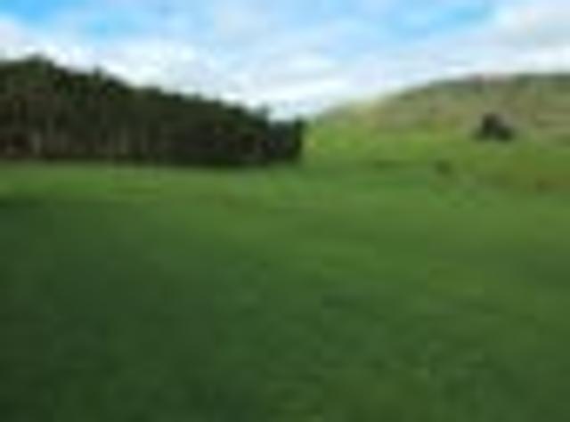 Land for sale in Otakou
