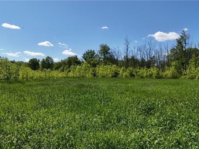 Land for sale in Cherry Creek, New York