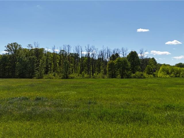 Land for sale in Cherry Creek, New York