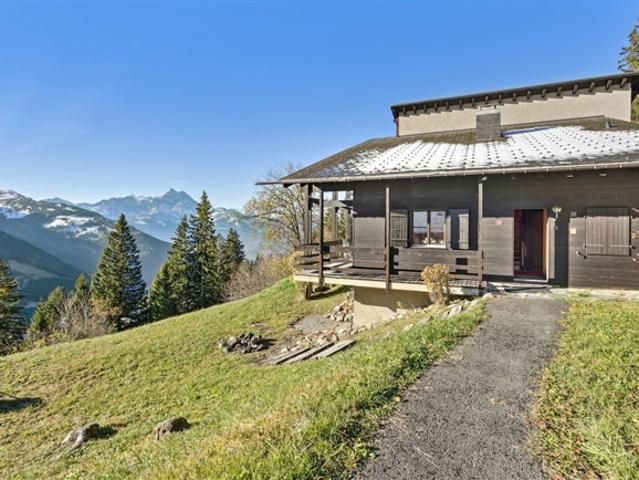 Haus kaufen in Gryon, Waadt