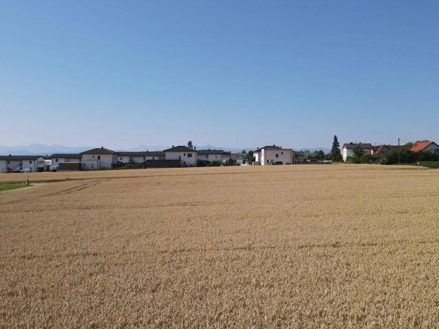 Apartment kaufen in Kematen an der Krems, Oberösterreich