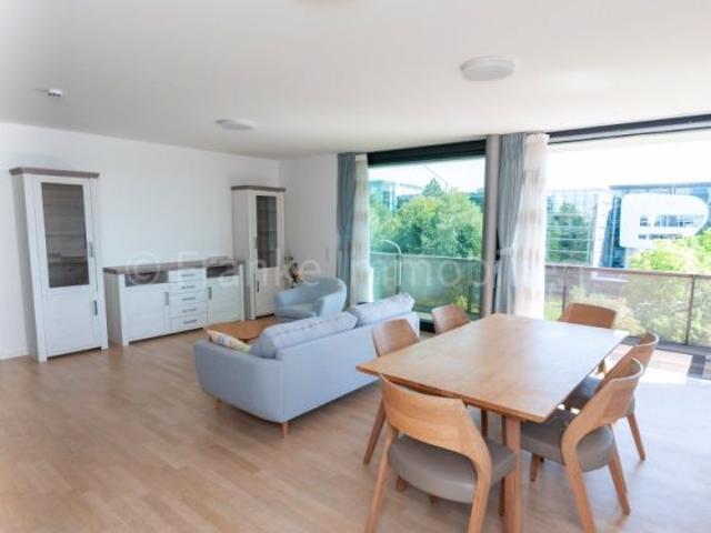 Wohnung mieten in Johannstadt, Dresden