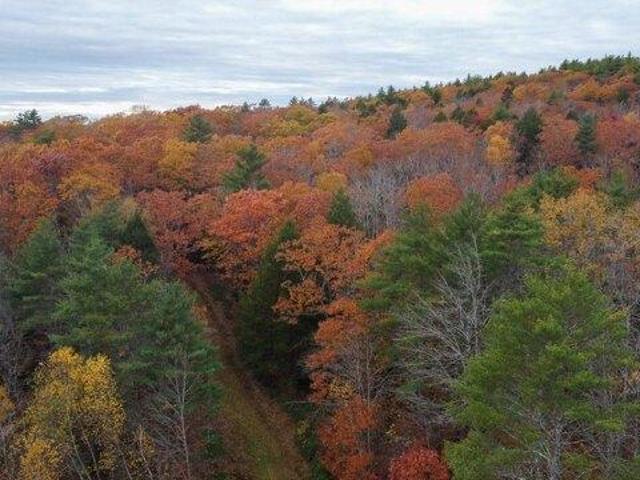 Land for sale in Dresden, Maine