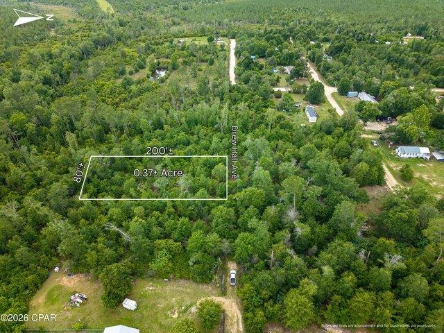Land for sale in Altha, Florida
