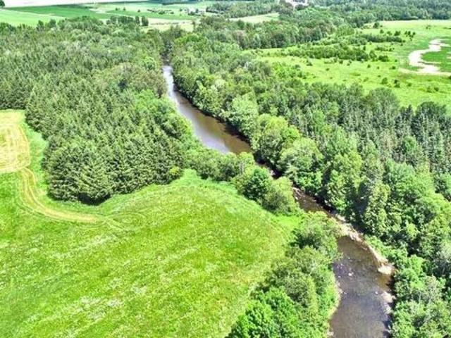 Land for sale in New Limerick, Maine