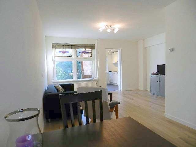 Woning te huur in Haarlem, Frans Halsbuurt