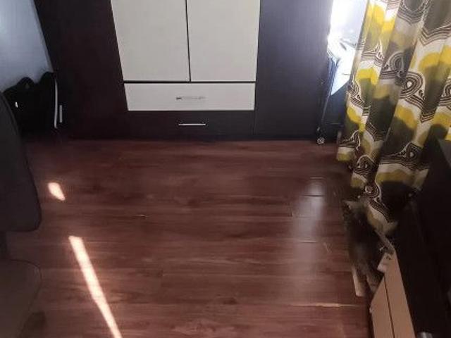 Garsonieră închirieri în Sector 3, București