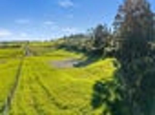 Land for sale in Northland