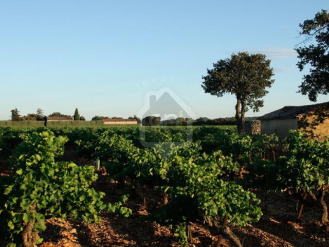Maison vente à Nyons, Rochegude