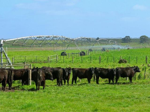 Cottage for sale in Warrong, Shire of Moyne