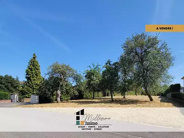 Terrain vente à Drulingen, Collectivité européenne d'Alsace