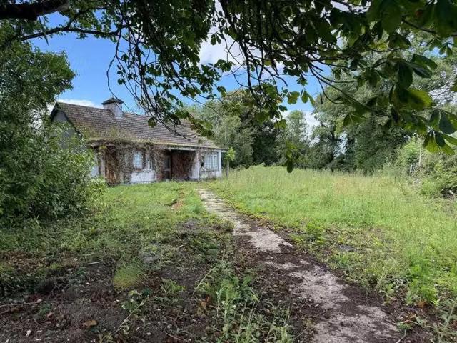 House for sale