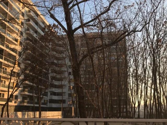 Garsonieră închirieri în Sector 6, București