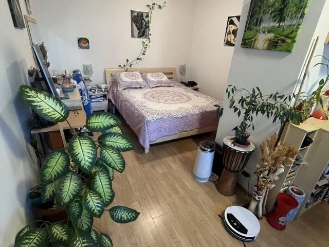 Garsonieră închirieri în București