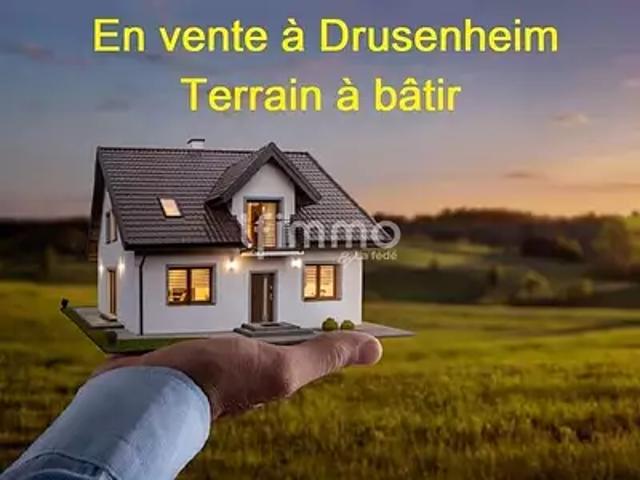 Terrain vente à Haguenau-Wissembourg, Drusenheim