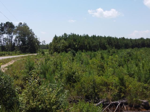 Land for sale in Mississippi
