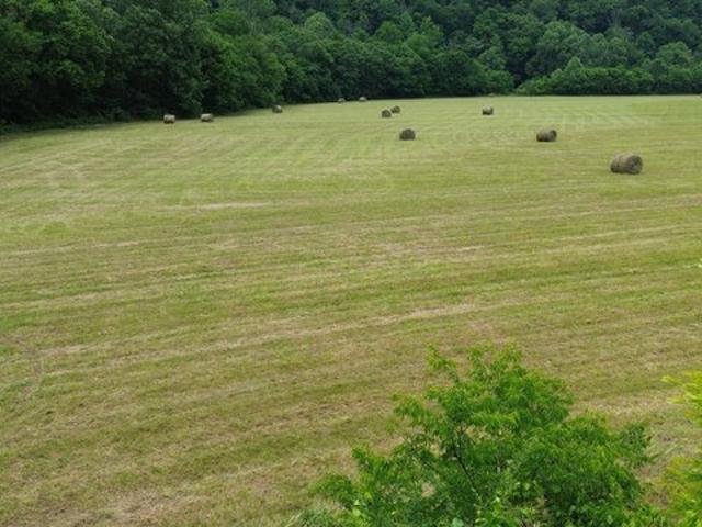 Farm for sale in Tennessee