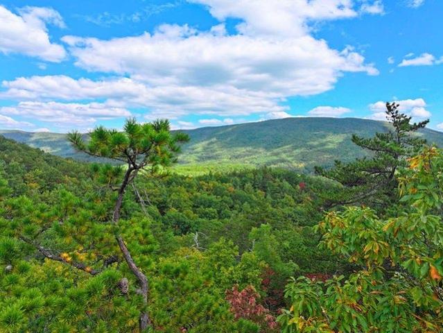 Land for sale in Virginia