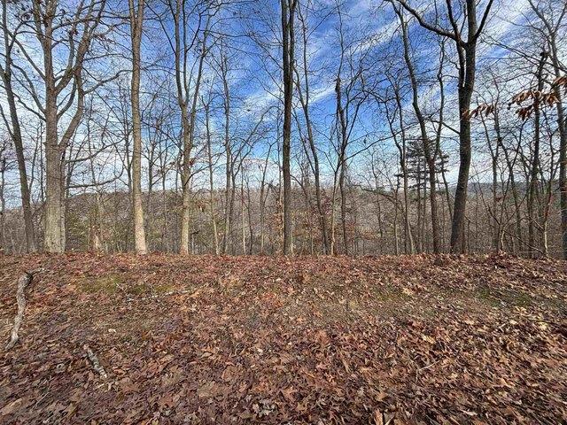 Land for sale in Louisa, Kentucky
