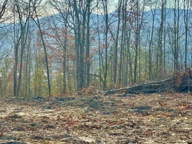 Land for sale in Virginia