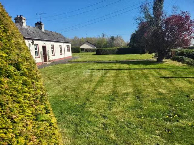 House to rent