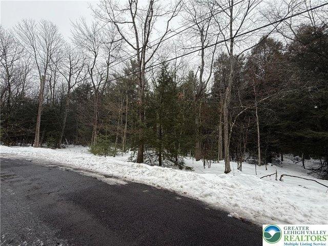 Land for sale in Carbon, Pennsylvania