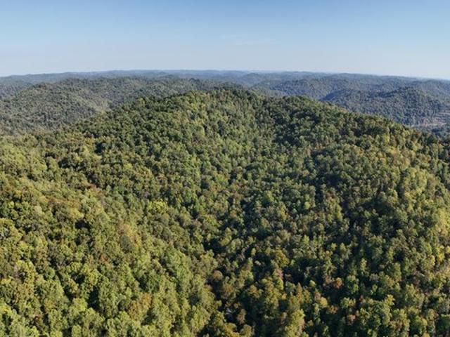 Land for sale in Leslie, Kentucky