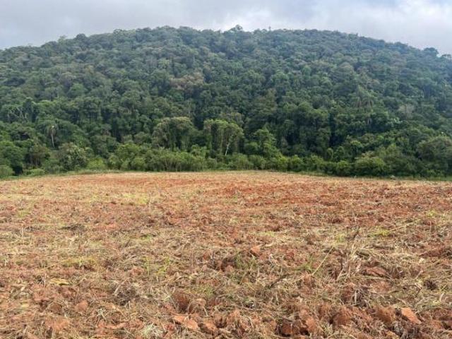 Terreno venda em Região Imediata de Sorocaba, Região Metropolitana de Sorocaba