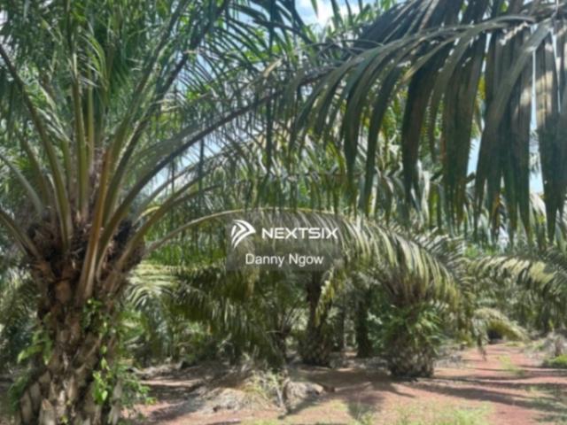 Residential House for sale in Johore Bahru, Johor