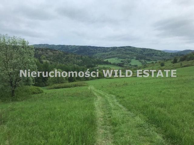 Grunt na sprzedaż w Baligród, Podkarpackie